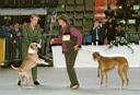 09 - Trouble und Rivale.jpg